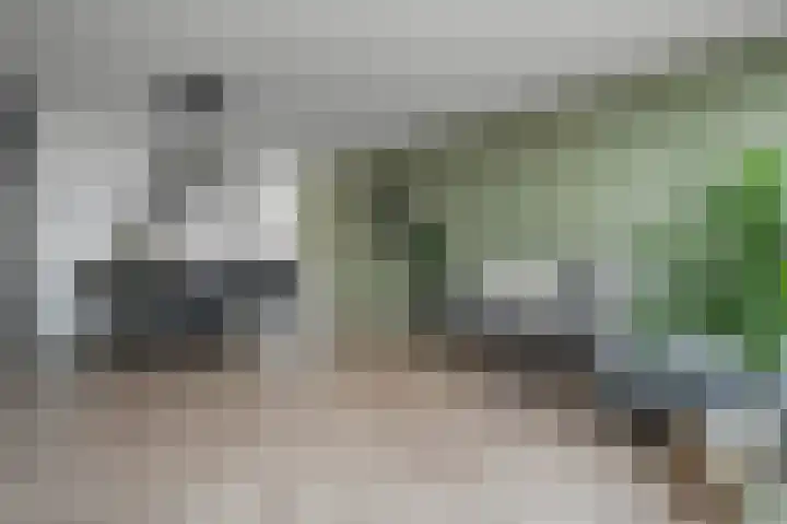 Kraanvogelstraat 88 Groningen thumbnail 10
