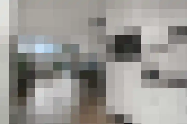 Kraanvogelstraat 88 Groningen thumbnail 15