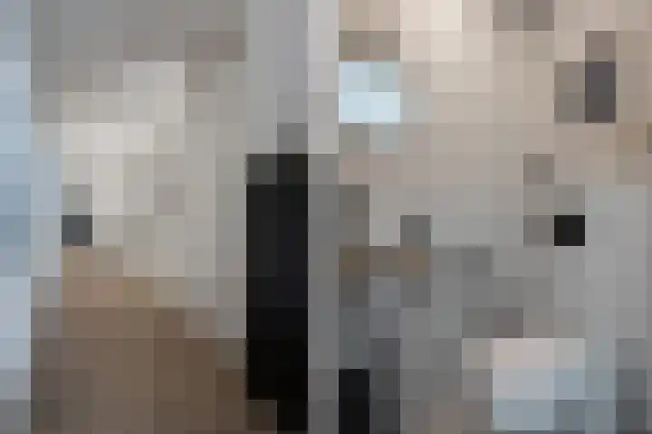 Kraanvogelstraat 88 Groningen thumbnail 18