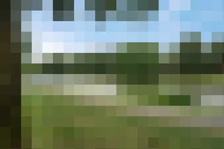 Kraanvogelstraat 88 Groningen thumbnail 35