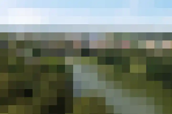 Kraanvogelstraat 88 Groningen thumbnail 42