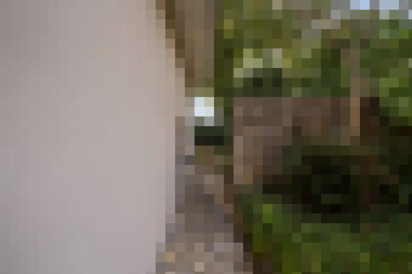Kraanweg 5 Weert thumbnail 51