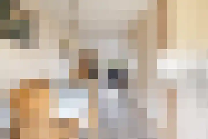 Kraatsweg 13 Harskamp thumbnail 10