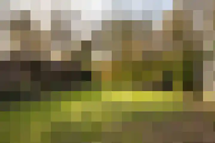 Kraatsweg 13 Harskamp thumbnail 26