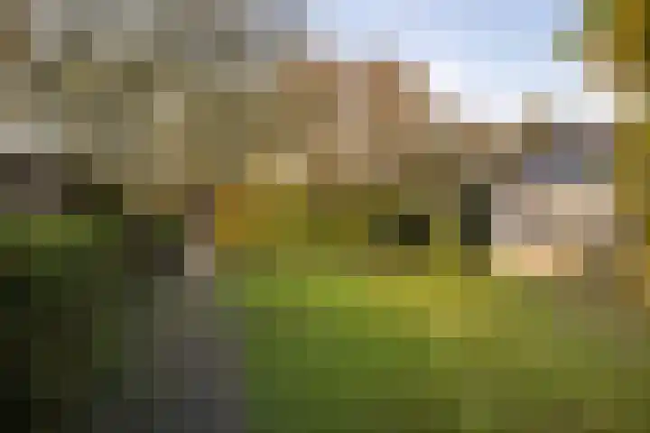 Kraatsweg 13 Harskamp thumbnail 27