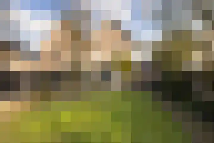 Kraatsweg 13 Harskamp thumbnail 28