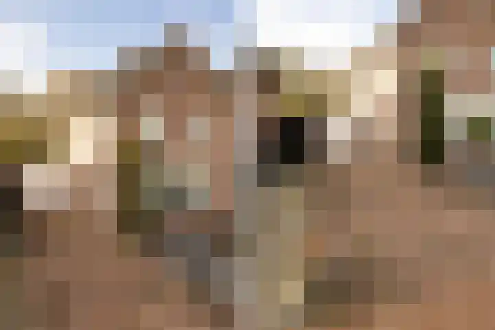 Kraatsweg 13 Harskamp thumbnail 30