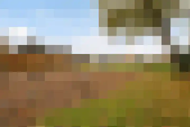 Kraatsweg 13 Harskamp thumbnail 33