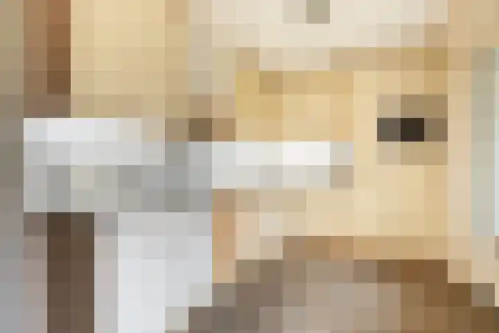 Kraatsweg 13 Harskamp thumbnail 7