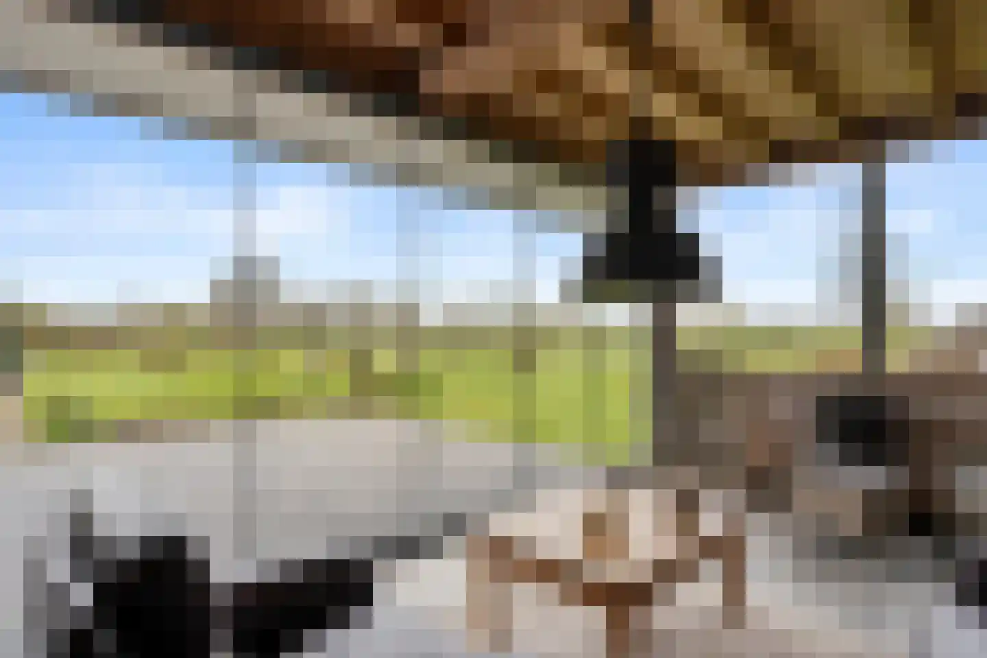 Kraatsweg 2 C Bennekom thumbnail 24