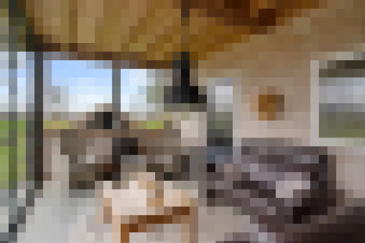 Kraatsweg 2 C Bennekom thumbnail 25