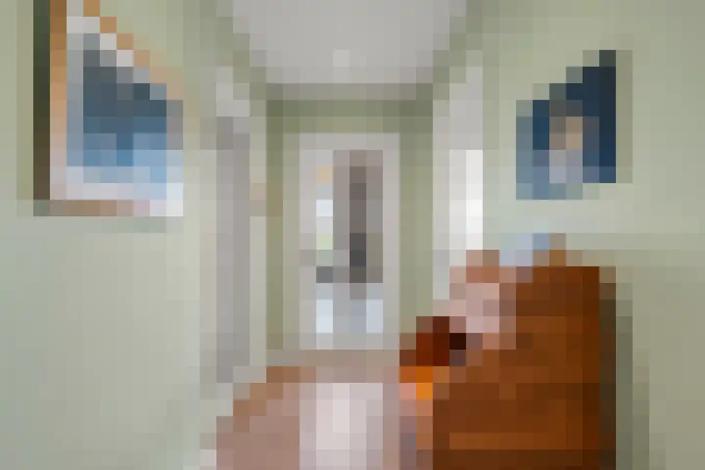 Kraatsweg 2 C Bennekom thumbnail 29
