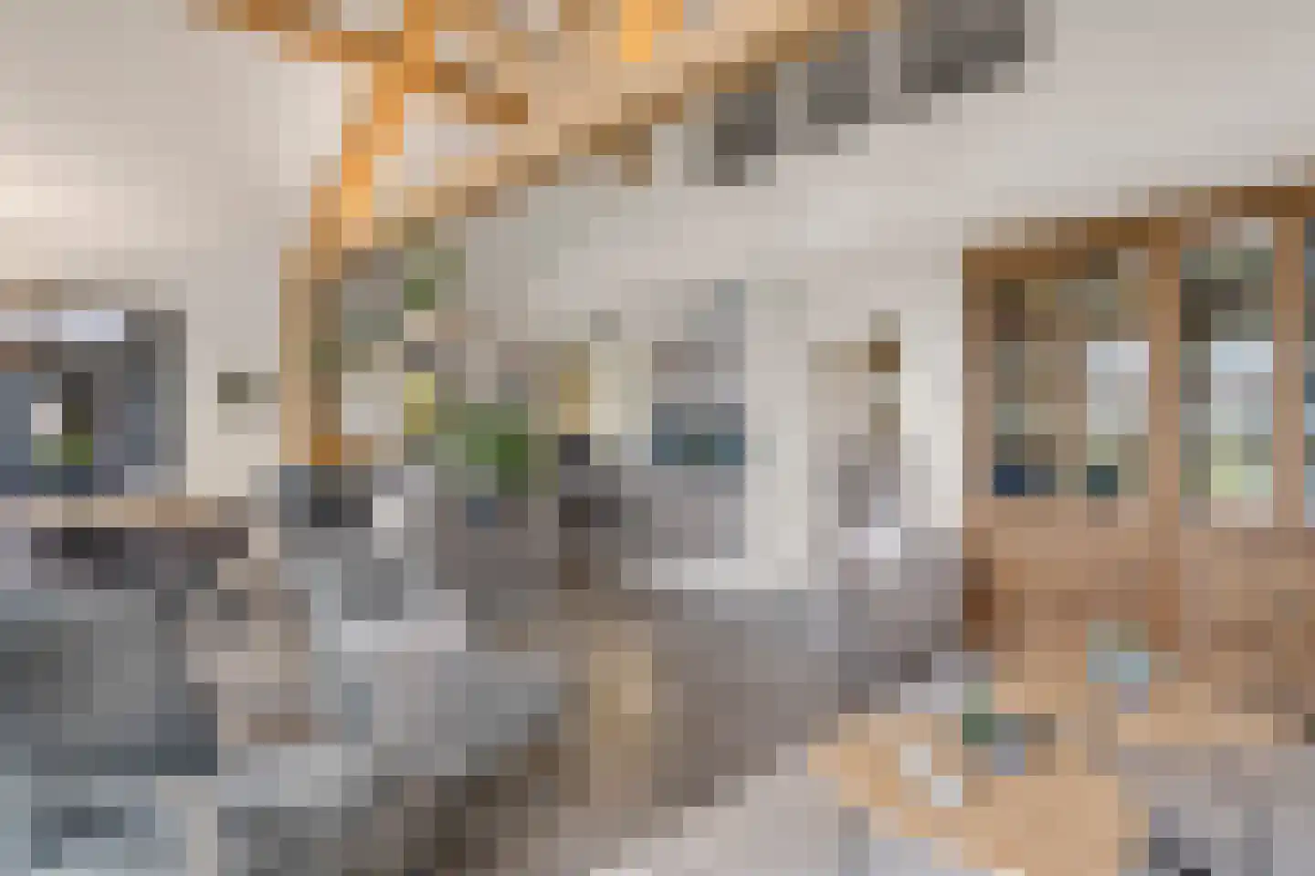 Kraatsweg 2 C Bennekom thumbnail 33