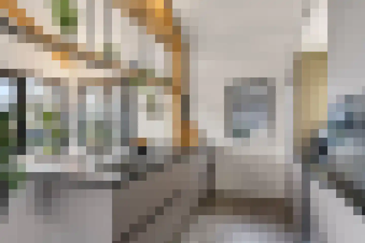 Kraatsweg 2 C Bennekom thumbnail 35