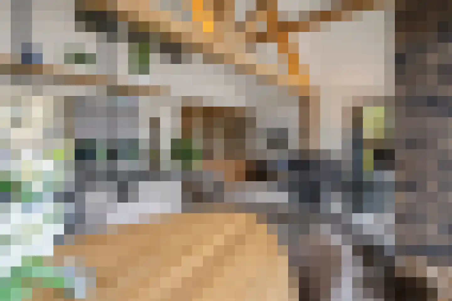 Kraatsweg 2 C Bennekom thumbnail 39