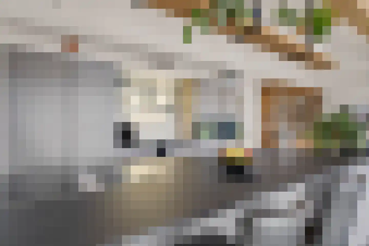 Kraatsweg 2 C Bennekom thumbnail 40
