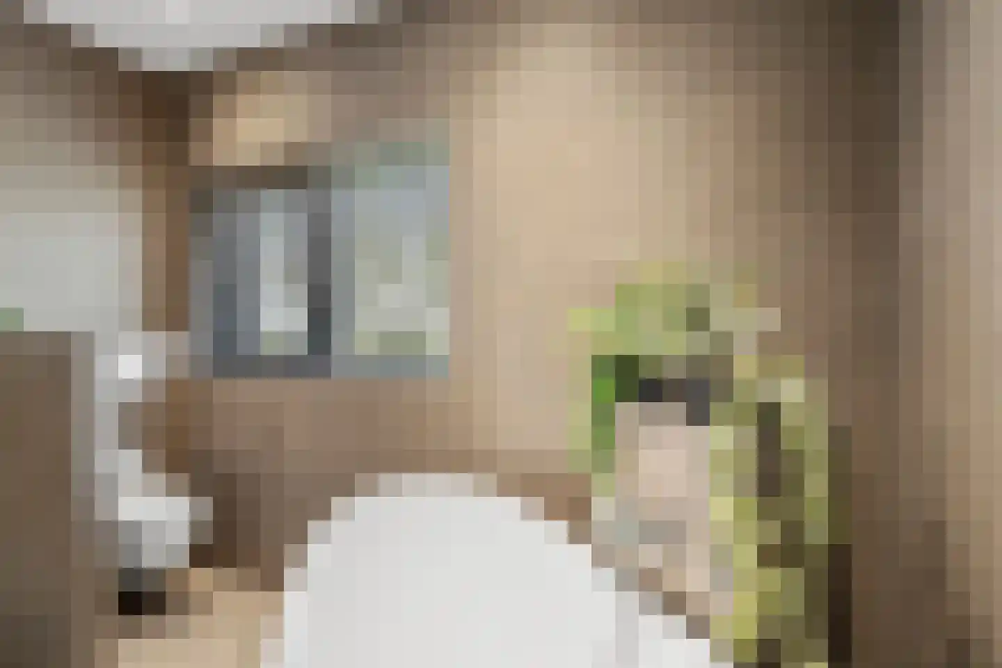 Kraatsweg 2 C Bennekom thumbnail 46