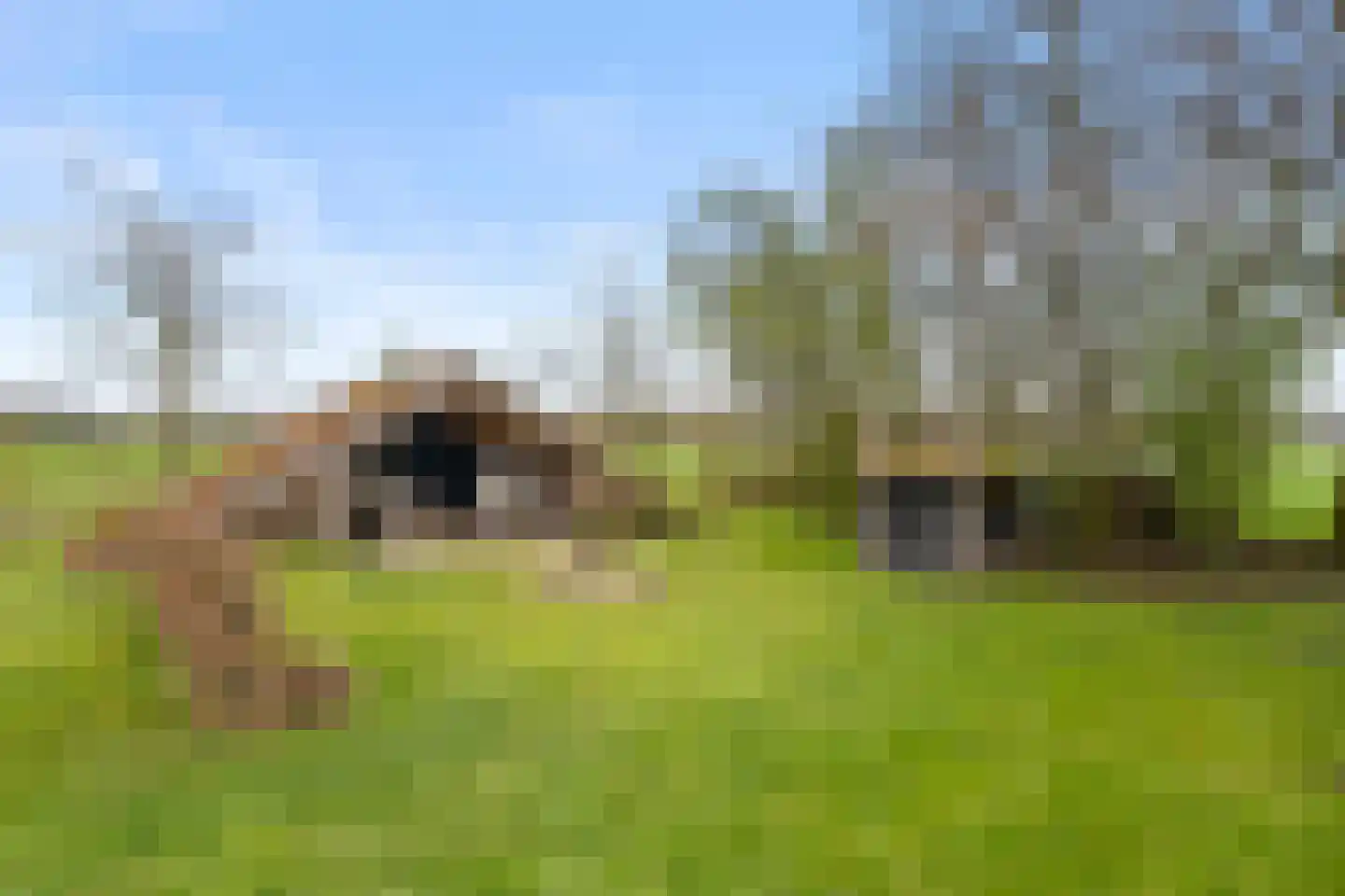 Kraatsweg 2 C Bennekom thumbnail 5
