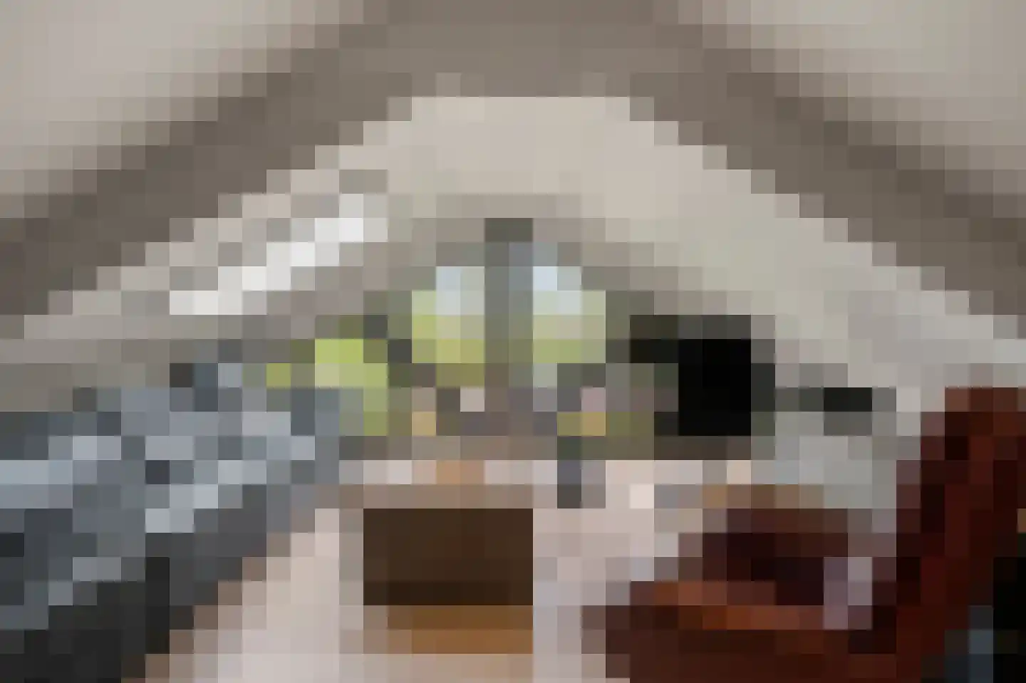 Kraatsweg 2 C Bennekom thumbnail 57