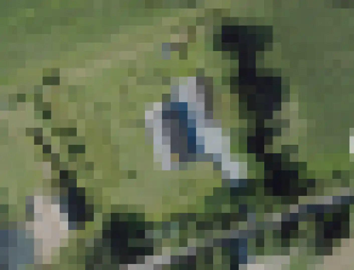 Kraatsweg 2 C Bennekom thumbnail 8