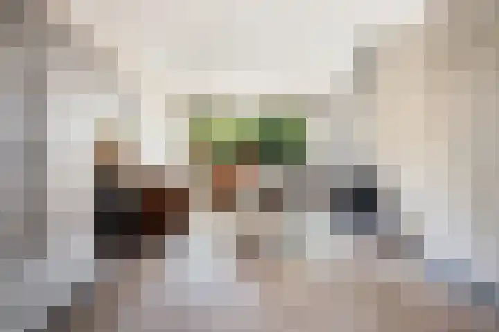 Kraatsweg 36 Harskamp thumbnail 10