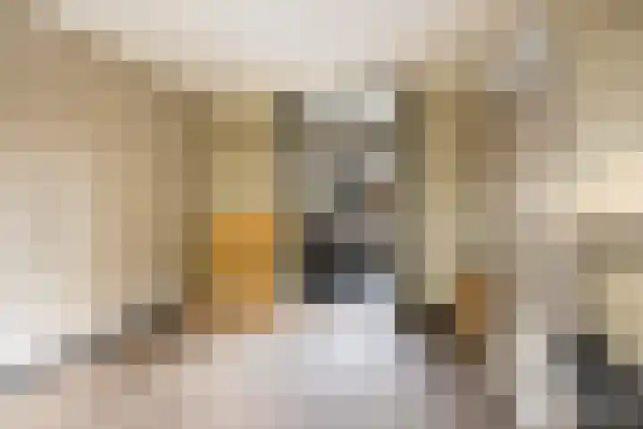 Kraatsweg 36 Harskamp thumbnail 13