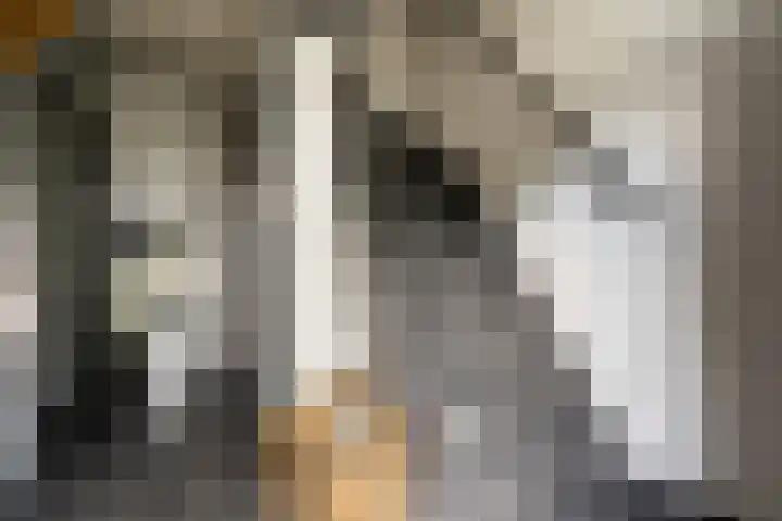 Kraatsweg 36 Harskamp thumbnail 15