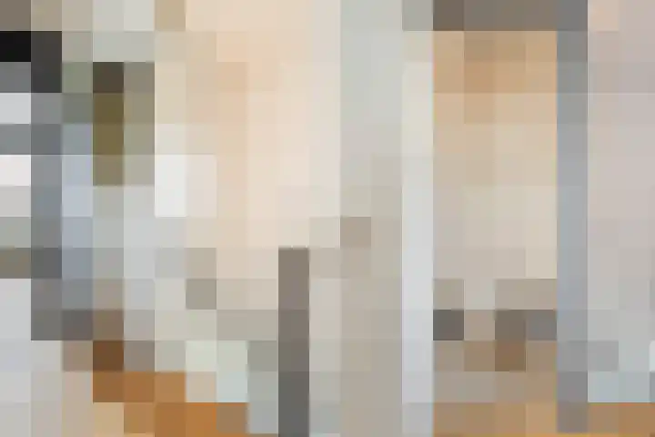 Kraatsweg 36 Harskamp thumbnail 16