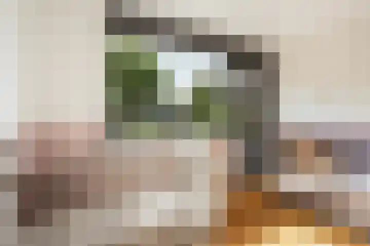 Kraatsweg 36 Harskamp thumbnail 20