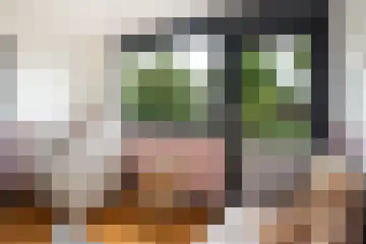 Kraatsweg 36 Harskamp thumbnail 21