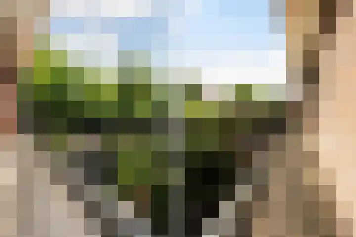 Kraatsweg 36 Harskamp thumbnail 23