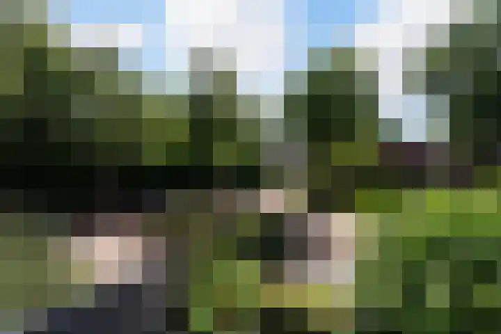 Kraatsweg 36 Harskamp thumbnail 24