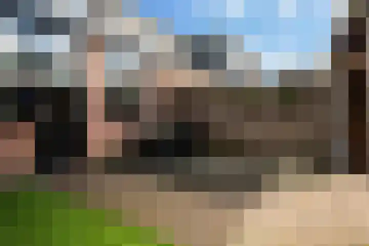 Kraatsweg 36 Harskamp thumbnail 28