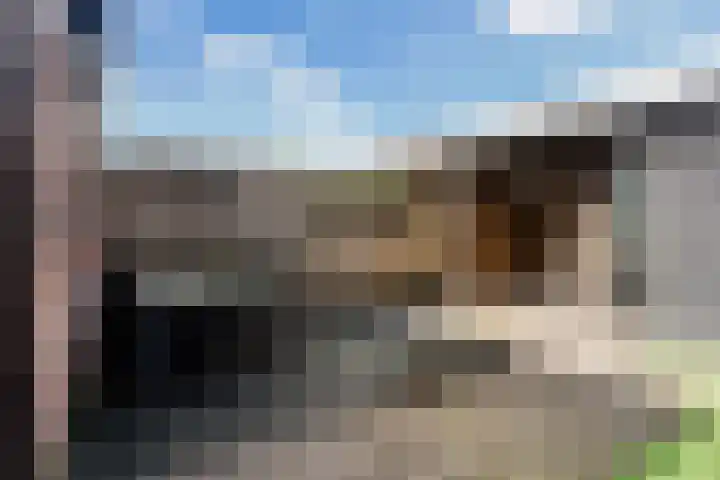 Kraatsweg 36 Harskamp thumbnail 29