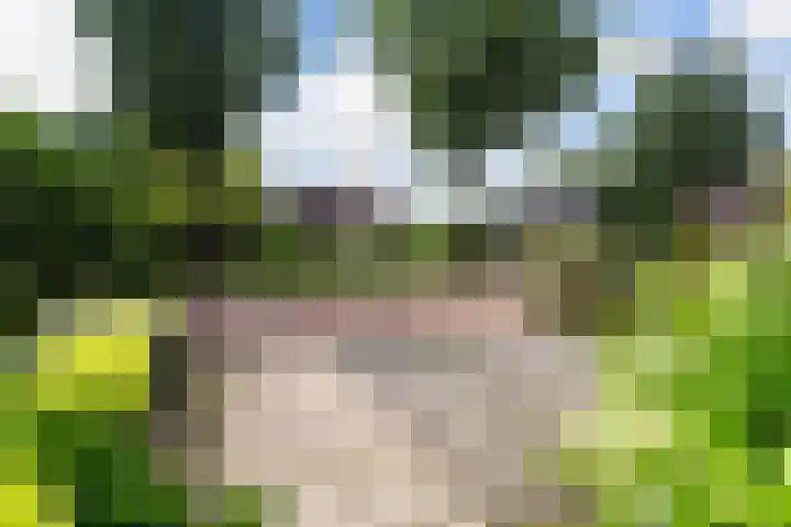 Kraatsweg 36 Harskamp thumbnail 35