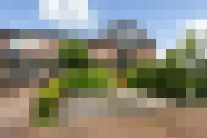 Kraatsweg 36 Harskamp thumbnail 37