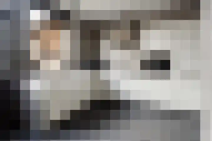 Kraatsweg 36 Harskamp thumbnail 4