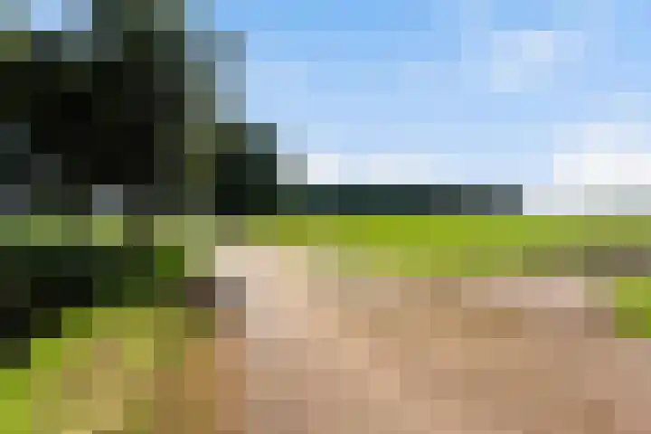 Kraatsweg 36 Harskamp thumbnail 40