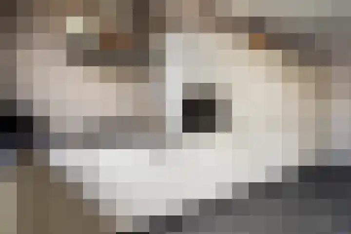Kraatsweg 36 Harskamp thumbnail 5