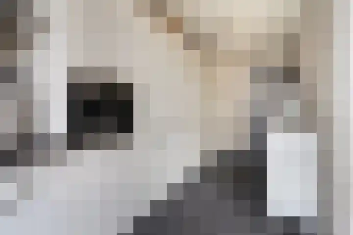 Kraatsweg 36 Harskamp thumbnail 6