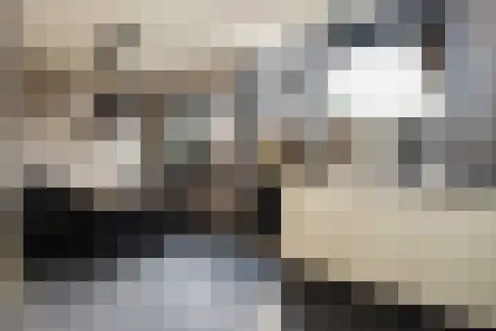 Kraatsweg 36 Harskamp thumbnail 8