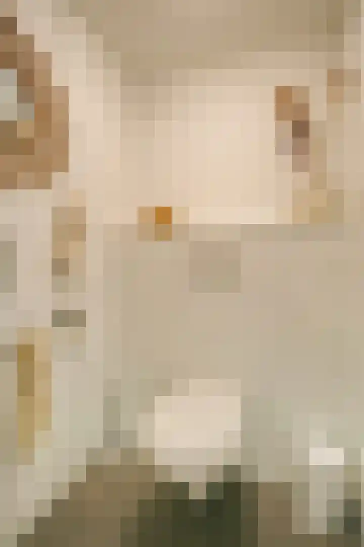 Kraatsweg 37 Ede thumbnail 18