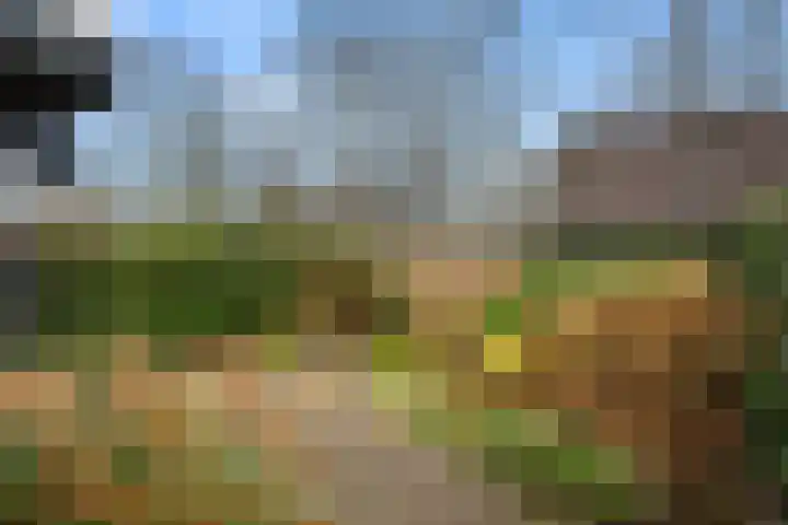 Kraatsweg 56 Ede thumbnail 11