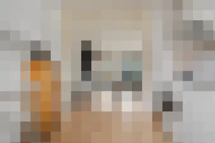 Kraatsweg 56 Ede thumbnail 23