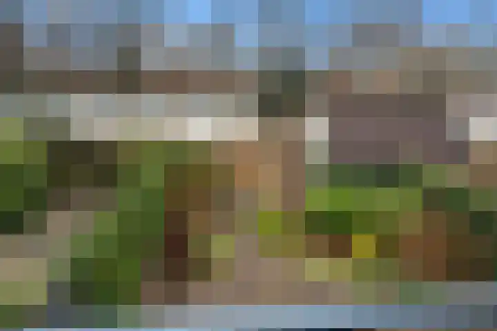 Kraatsweg 56 Ede thumbnail 27