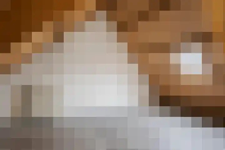 Kraatsweg 56 Ede thumbnail 32