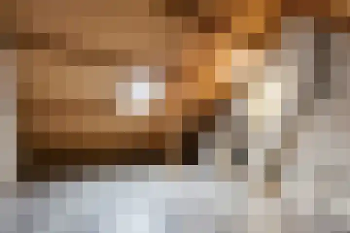 Kraatsweg 56 Ede thumbnail 33