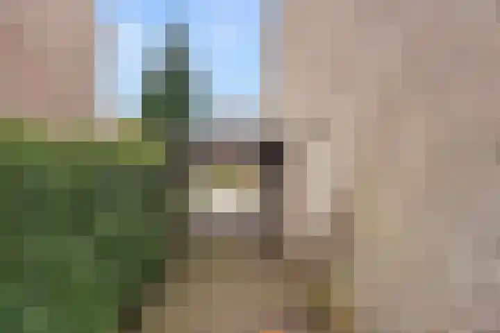 Kraatsweg 56 Ede thumbnail 6