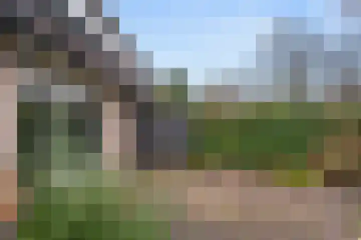 Kraatsweg 56 Ede thumbnail 9