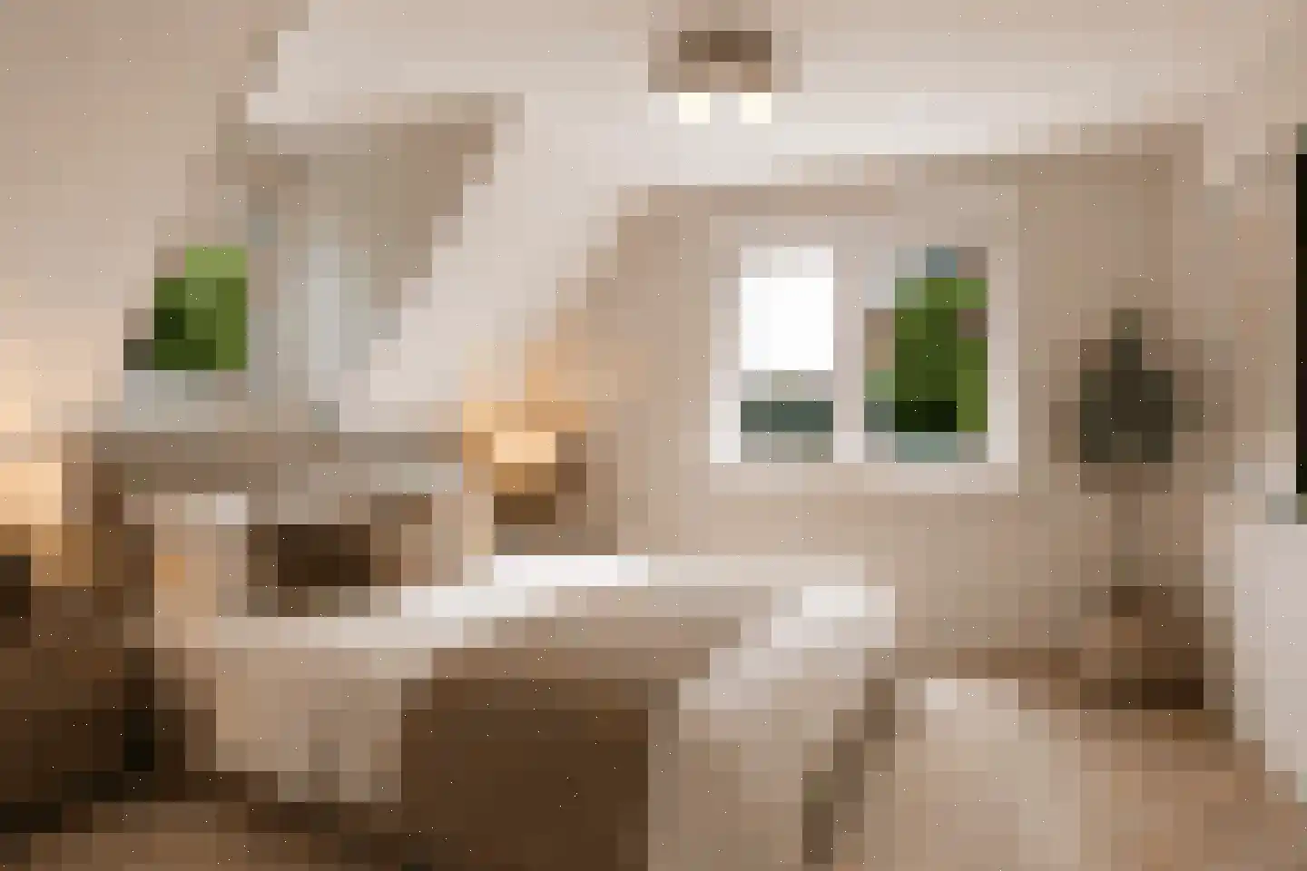Kraatsweg 66 C Harskamp thumbnail 23